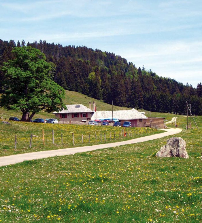 Buvette La Thiolle