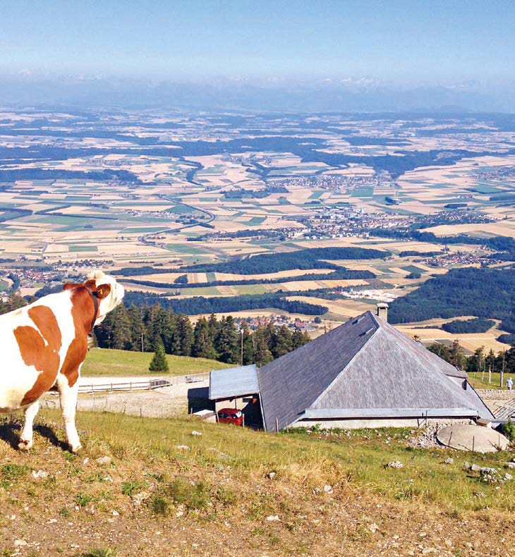 Chalet le Suchet
