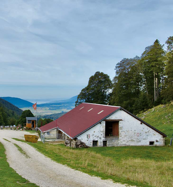 Métairie du Fornel